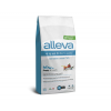 Alleva equilibrium sensitive ocean fish puppy all breeds