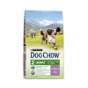 Purina DOG CHOW adult so vkusom yagnenka