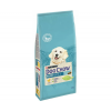 Purina DOG CHOW puppy