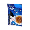 Purina felix  sup s treskoj