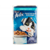 Purina felix appetitny`e kusochki s forel`yu v zhele