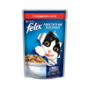 Purina felix appetitny`e kusochki s govyadinoj v zhele