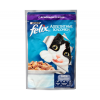 Purina felix appetitny`e kusochki s yagnenkom v zhele