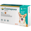 Simparika dlya sobak massoj 10-20kg